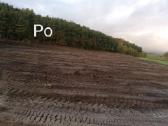 Kelmų frezavimas, apleistų plotų tvarkymas . - nuotraukos Nr. 2