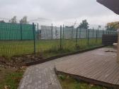 Tūjos Smaragd akščiausios kokybės Premium klasės - nuotraukos Nr. 8