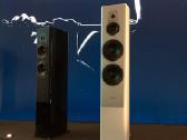 Dynaudio Evoke 50 blonde wood koloneles - nuotraukos Nr. 5