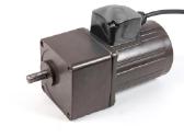 Motoreduktorius 25 W. 7,0 aps/min