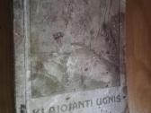 Klajojanti ugnis 1932m