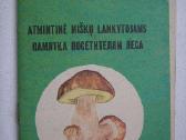 Atmintine misku lankytojams