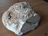Kacholongas/baltasis opalas didelis virš 2 kg - nuotraukos Nr. 5