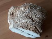 Kacholongas/baltasis opalas didelis virš 2 kg - nuotraukos Nr. 7