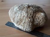 Kacholongas/baltasis opalas didelis virš 2 kg - nuotraukos Nr. 11
