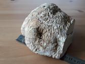 Kacholongas/baltasis opalas didelis virš 2 kg - nuotraukos Nr. 9