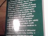 Dekoratyvinių medžių ir krūmų enciklopedija 2003 m - nuotraukos Nr. 2