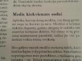 Dekoratyvinių medžių ir krūmų enciklopedija 2003 m - nuotraukos Nr. 5