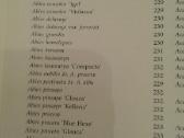 Dekoratyvinių medžių ir krūmų enciklopedija 2003 m - nuotraukos Nr. 13