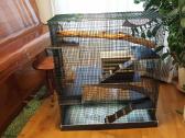 Didelis naujas narvas šinšiliui, degu - nuotraukos Nr. 4