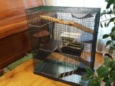 Didelis naujas narvas šinšiliui, degu - nuotraukos Nr. 7