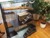 Didelis naujas narvas šinšiliui, degu