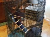 Degu jaunikliai. Naujas didelis narvas. - nuotraukos Nr. 8