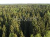 Brangiai Perku Miska Visoje Lietuvoje - nuotraukos Nr. 2 | Skelbiu.lt Brangiai Perku Miska Visoje Lietuvoje - nuotraukos Nr. 2