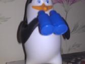 Pingvinas žiūri pro žiuronus :)