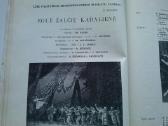Knyga.1960 m. - nuotraukos Nr. 8