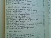 Knyga.piesni Polskie ludowe.1925 m. - nuotraukos Nr. 20