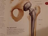 Žmogaus anatomijos žinynas ( Anatomica) - nuotraukos Nr. 4