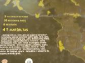 Ypatinga Lietuva - nuotraukos Nr. 2