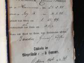 1904m pazimiu knygute