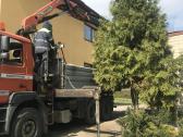 Ekskavatoriaus nuoma su plaktuku hidro kujiu - nuotraukos Nr. 11