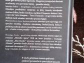 "Mėnulio tigras" Penelope Lively 2019 m.romana - nuotraukos Nr. 4