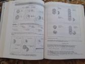 Knygą rusų gramatiką su iliustracijomis dovanai - nuotraukos Nr. 3