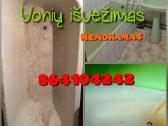 Voniosi švežimas Nemokamas - nuotraukos Nr. 19