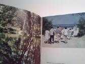 Atvirutes.palanga 1970m - nuotraukos Nr. 8