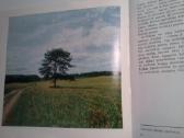 Knyga.zarasu rajonas.1984m - nuotraukos Nr. 13