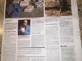 Putpelių gaidziukai 2€ vnt - nuotraukos Nr. 3