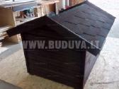 Šuns buda, buda šuniui - nuotraukos Nr. 5