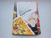 Atviručių komplektas "kaktusai"