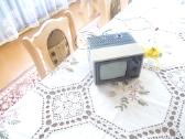 Parduodu mini "šilelį" | Skelbiu.lt Parduodu mini "šilelį"