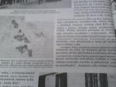 Knyga. - nuotraukos Nr. 3