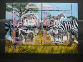 Zebrai Cadas 2012 svarus g549a/b