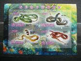 Gyvates Reptilijos svarus sv952a/b - nuotraukos Nr. 2