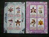 Orchidejos Grybai svarus s1025a/b