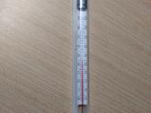 Termometras