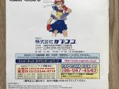 Street fighter collection ntsc japan, ps1, psx, - nuotraukos Nr. 11