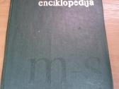 Knyga. Lietuvos enciklopedija. 1 tomas. - nuotraukos Nr. 3