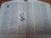 Knyga.medicinos enciklopedija.1991 m. - nuotraukos Nr. 12