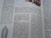 Knyga.medicinos enciklopedija.1991 m. - nuotraukos Nr. 13