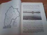 Knyga.lietuvos istorija.1957m - nuotraukos Nr. 6