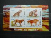 Panteros Kates laukines Burundis 2011 j228a/b - nuotraukos Nr. 2