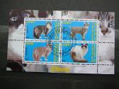 Kates Burundis 201 5xklb. antsp. j223/7