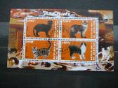 Kates Burundis 201 5xklb. antsp. j223/7 - nuotraukos Nr. 2