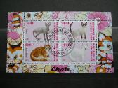 Kates Burundis 201 5xklb. antsp. j223/7 - nuotraukos Nr. 3