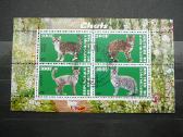 Kates Burundis 201 5xklb. antsp. j223/7 - nuotraukos Nr. 5
