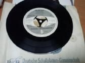 Vinilines ploksteles - nuotraukos Nr. 3